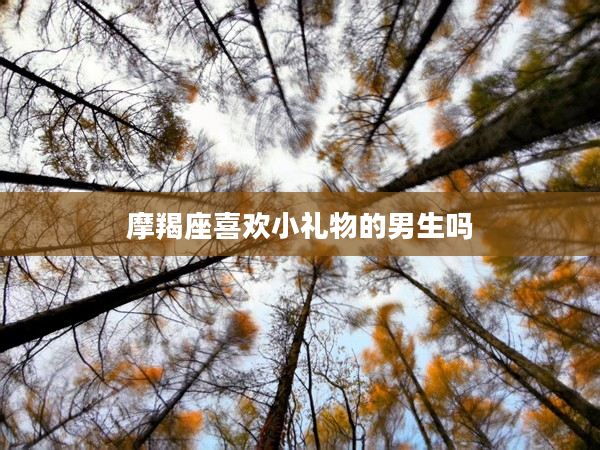 摩羯座喜歡小禮物的男生嗎