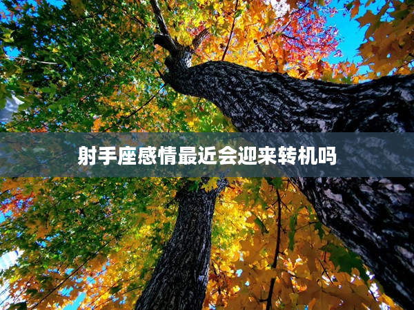 射手座感情最近會迎來轉機嗎