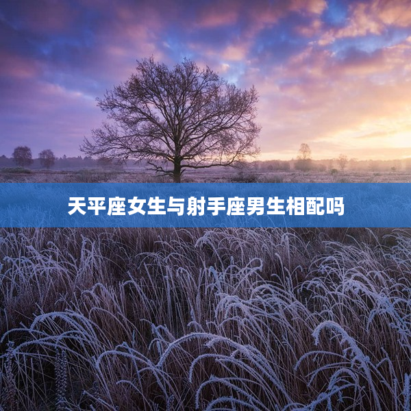 天平座女生與射手座男生相配嗎