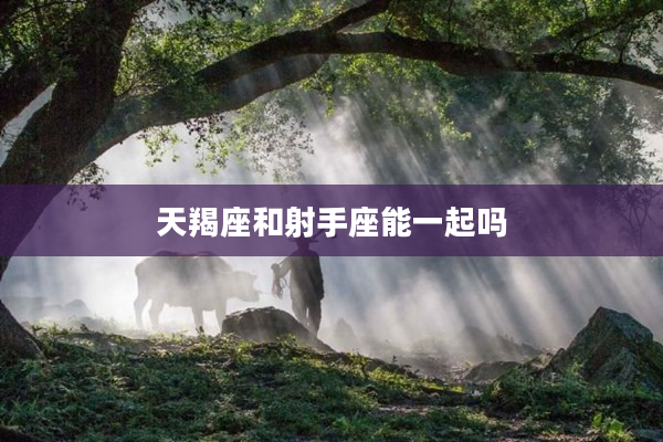 天羯座和射手座能一起嗎