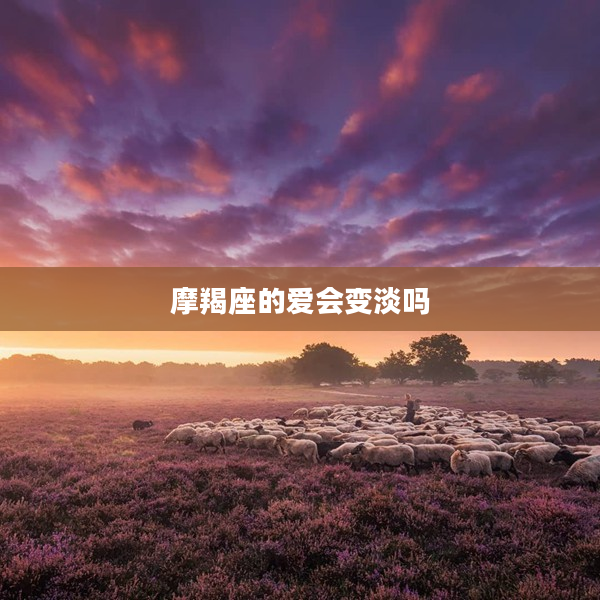 摩羯座的愛會變淡嗎