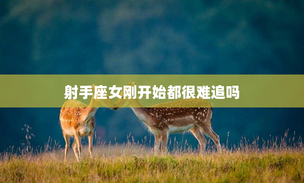 射手座女剛開始都很難追嗎