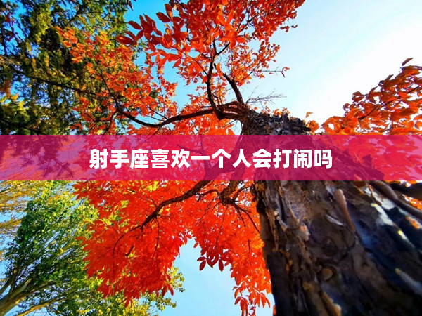 射手座喜歡一個人會打鬧嗎