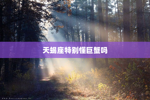 天蝎座特別懂巨蟹嗎