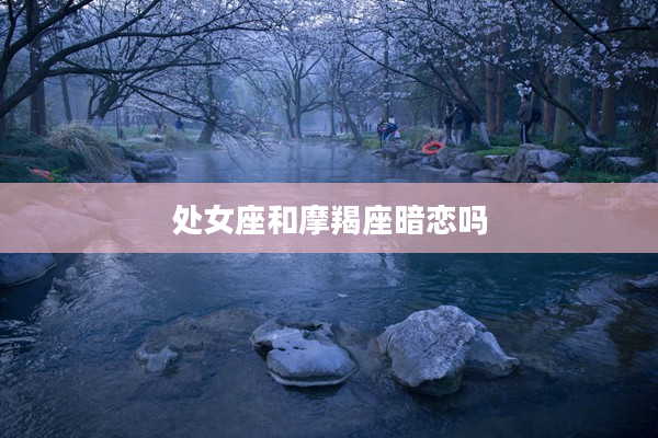 處女座和摩羯座暗戀嗎