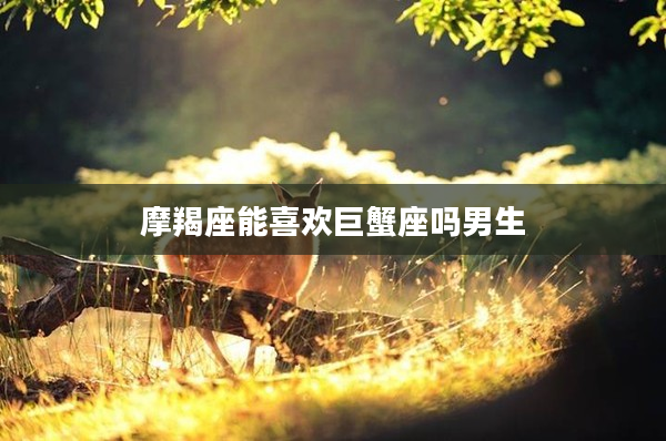 摩羯座能喜歡巨蟹座嗎男生