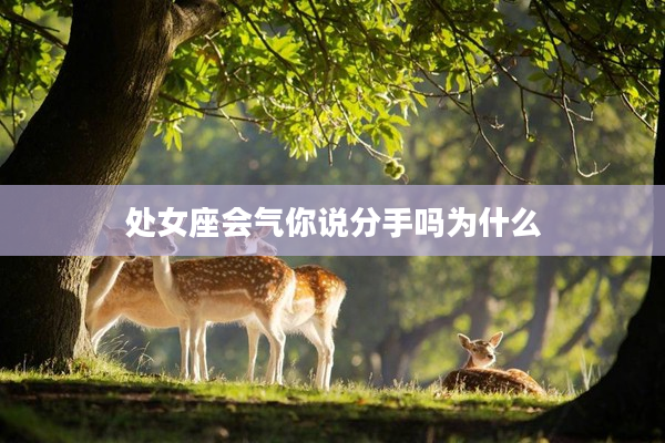 處女座會氣你說分手嗎為什么