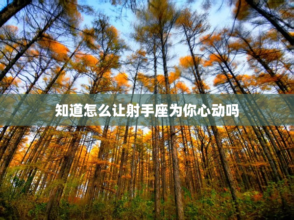 知道怎么讓射手座為你心動嗎