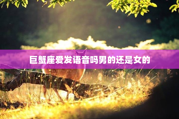 巨蟹座愛發語音嗎男的還是女的