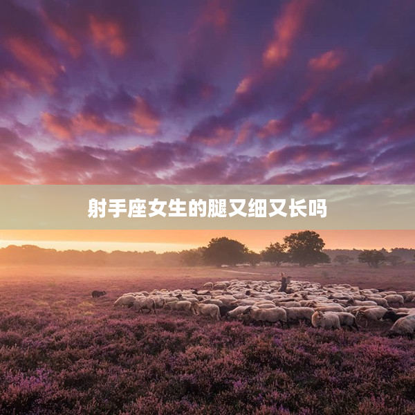 射手座女生的腿又細又長嗎