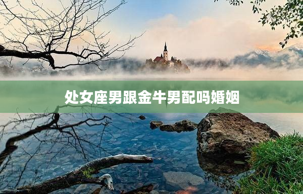 處女座男跟金牛男配嗎婚姻