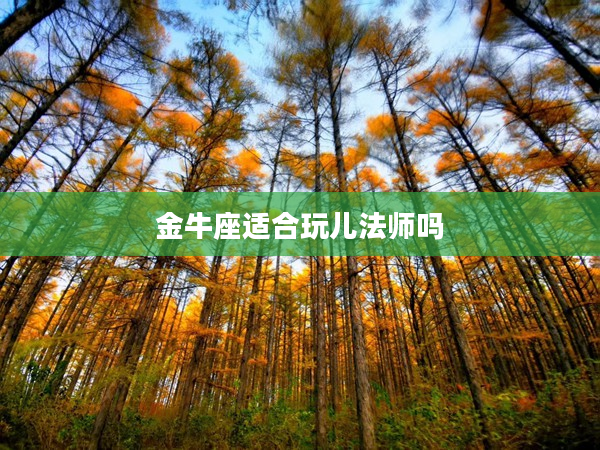 金牛座適合玩兒法師嗎