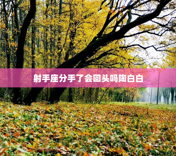 射手座分手了會回頭嗎陶白白