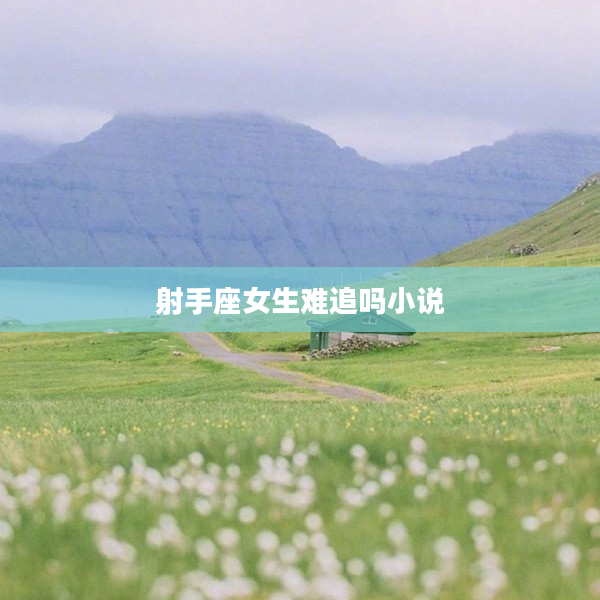 射手座女生難追嗎小說