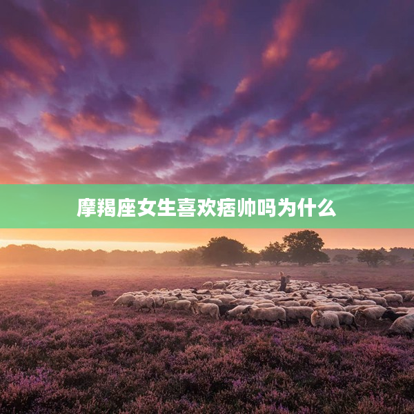 摩羯座女生喜歡痞帥嗎為什么