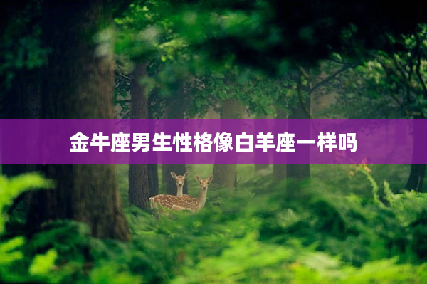 金牛座男生性格像白羊座一樣嗎
