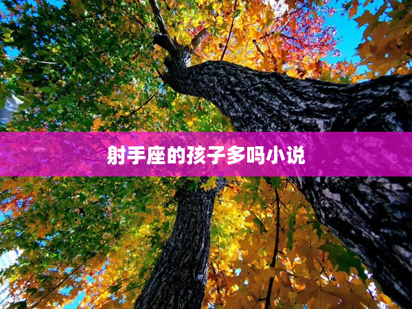 射手座的孩子多嗎小說(shuō)