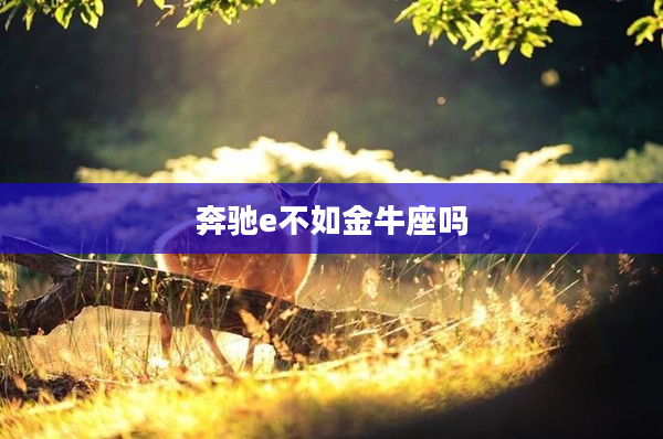 奔馳e不如金牛座嗎