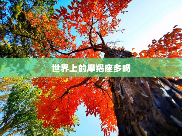 世界上的摩羯座多嗎