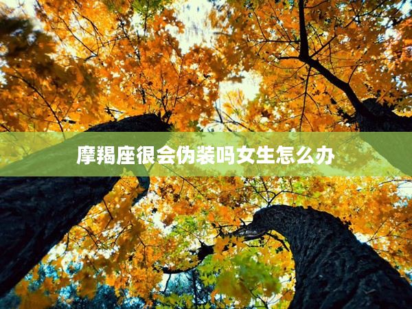 摩羯座很會偽裝嗎女生怎么辦