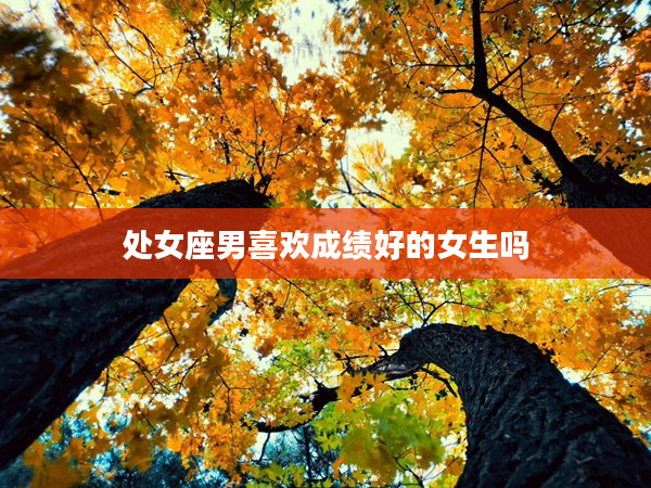 處女座男喜歡成績好的女生嗎