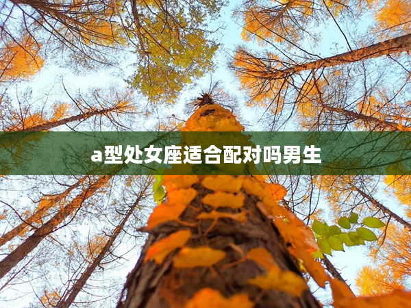a型處女座適合配對嗎男生