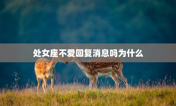 處女座不愛回復消息嗎為什么