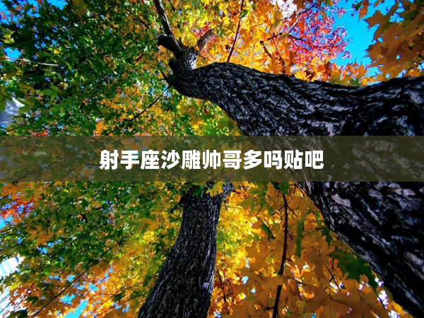 射手座沙雕帥哥多嗎貼吧