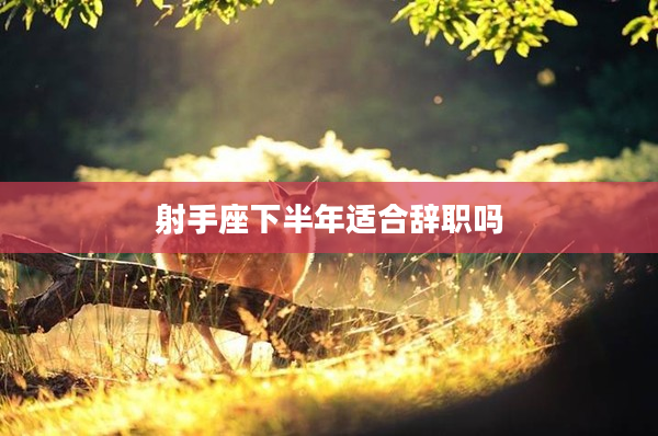 射手座下半年適合辭職嗎