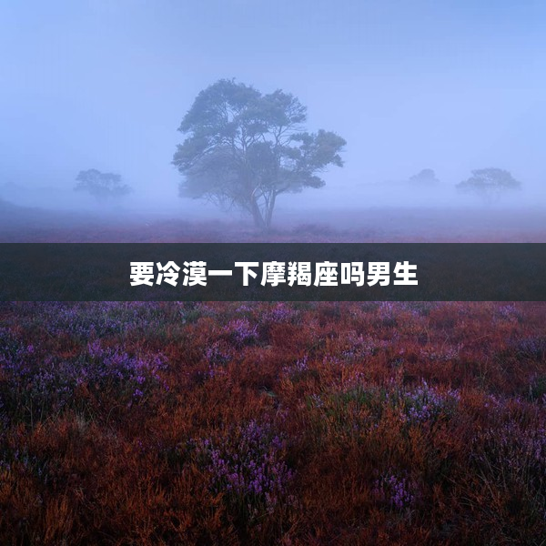 要冷漠一下摩羯座嗎男生