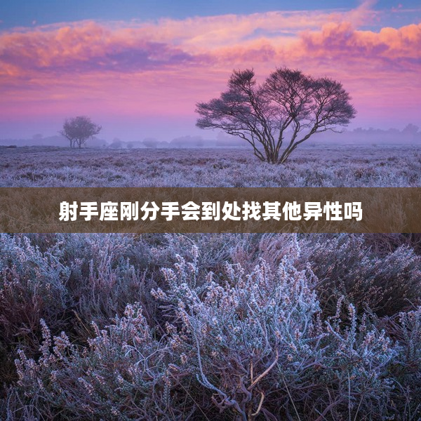 射手座剛分手會到處找其他異性嗎