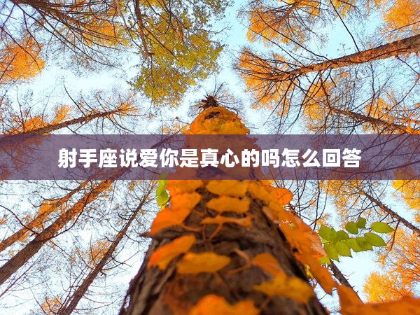射手座說愛你是真心的嗎怎么回答