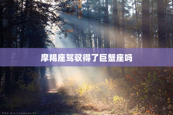 摩羯座駕馭得了巨蟹座嗎