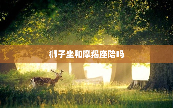 獅子坐和摩羯座陪嗎