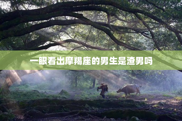 一眼看出摩羯座的男生是渣男嗎