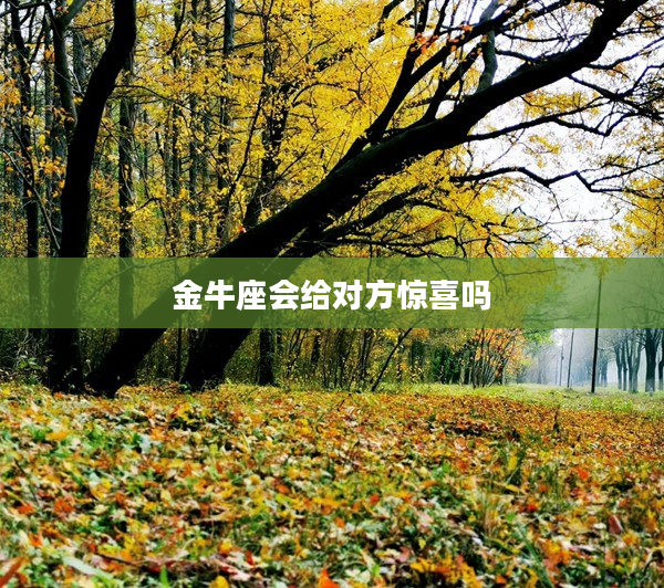 金牛座會給對方驚喜嗎