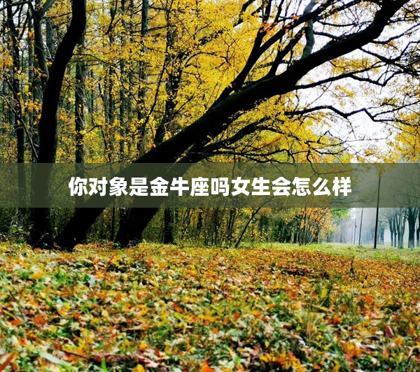 你對象是金牛座嗎女生會怎么樣