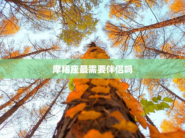 摩羯座最需要伴侶嗎