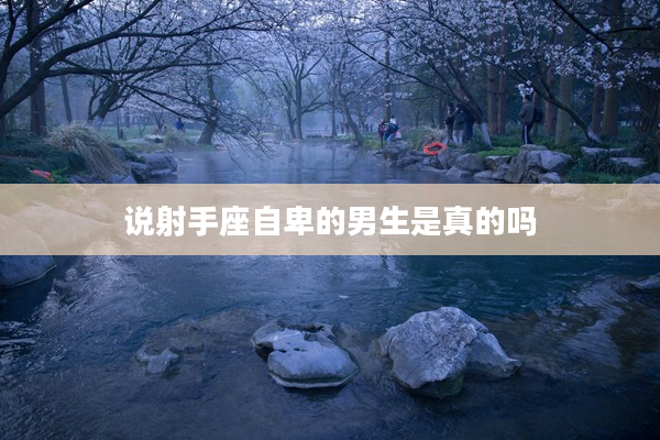 說射手座自卑的男生是真的嗎