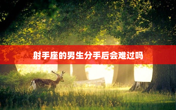 射手座的男生分手后會難過嗎