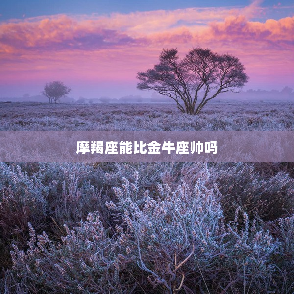 摩羯座能比金牛座帥嗎