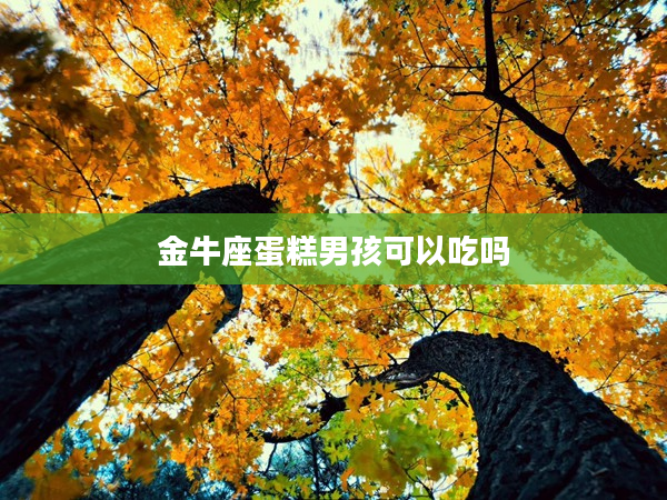 金牛座蛋糕男孩可以吃嗎