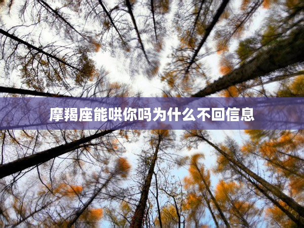 摩羯座能哄你嗎為什么不回信息