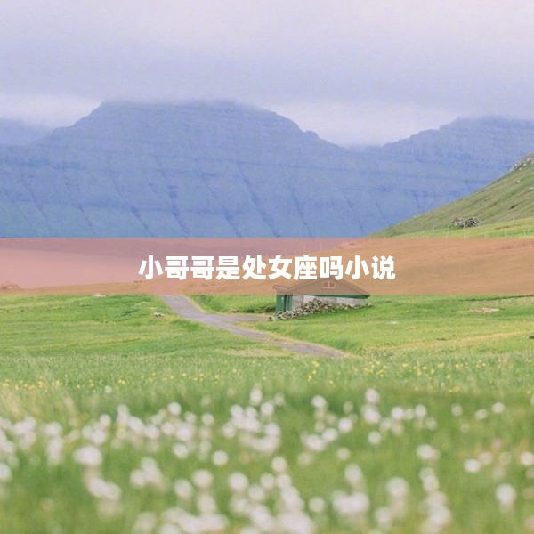 小哥哥是處女座嗎小說