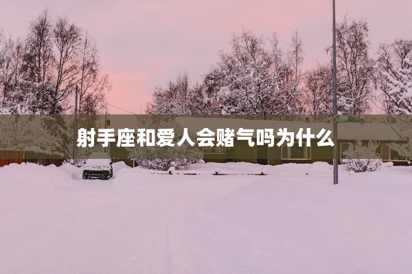 射手座和愛人會賭氣嗎為什么