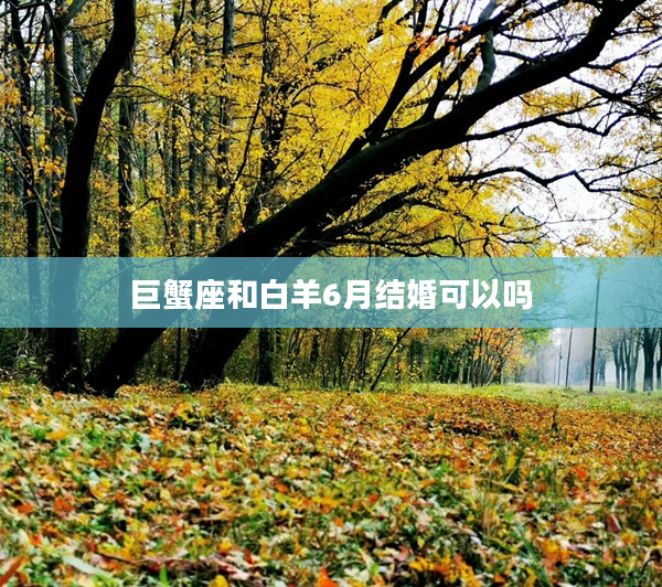 巨蟹座和白羊6月結婚可以嗎