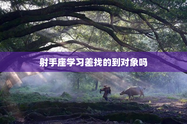 射手座學(xué)習(xí)差找的到對(duì)象嗎