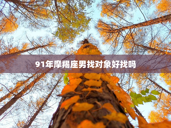 91年摩羯座男找對象好找嗎