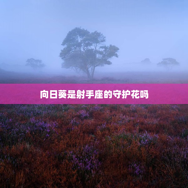 向日葵是射手座的守護花嗎