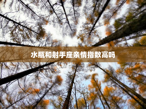 水瓶和射手座親情指數(shù)高嗎